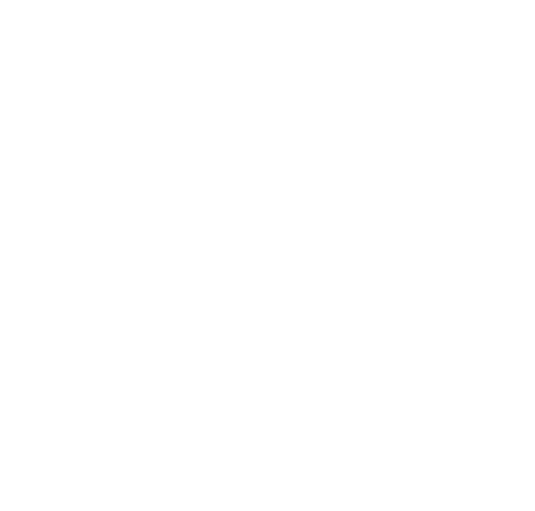 TX Max Garage Door Repair